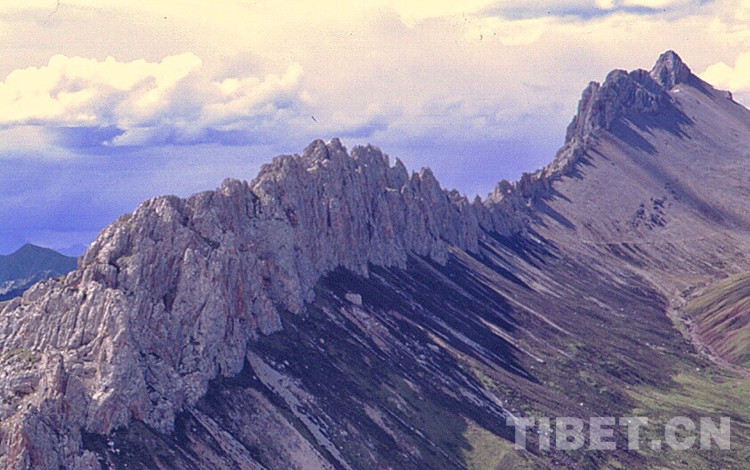 W020190807300949411944.jpg