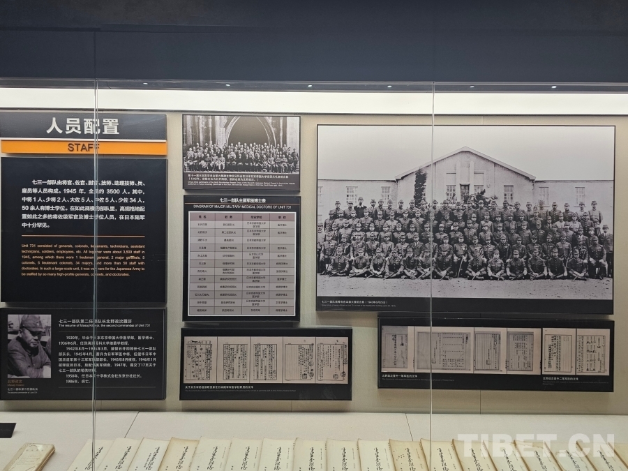 MEITU_20240813_215948501 MEITU_20240813_215948501