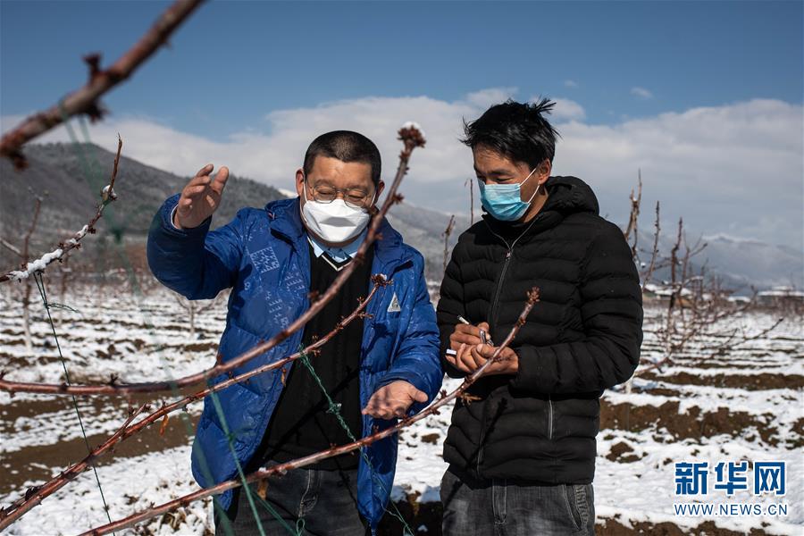（脫貧攻堅）（2）云南迪慶藏區(qū)：打好防疫脫貧兩場戰(zhàn)役
