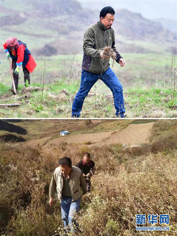 (脫貧攻堅·圖片故事)(6)扶貧相冊——藏族村寨的脫貧“貼心人”