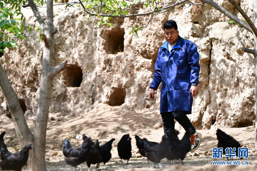 (脫貧攻堅·圖片故事)(5)“90后新農(nóng)人”的返鄉(xiāng)致富路