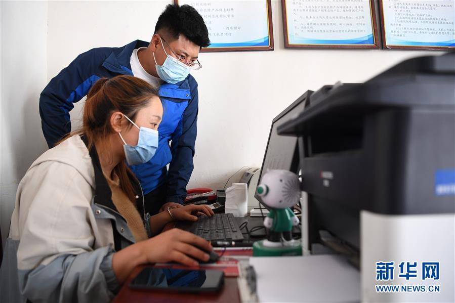 (脫貧攻堅·圖片故事)(9)“90后新農(nóng)人”的返鄉(xiāng)致富路