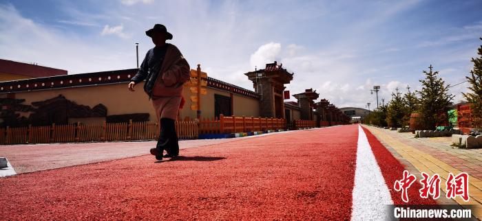 甘肅藏區(qū)打造精品“牧家樂”:從游牧生活到“庭院經(jīng)濟(jì)”