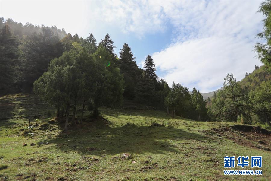 (美麗中國)(2)祁連山下冰溝河 水草豐茂美如畫