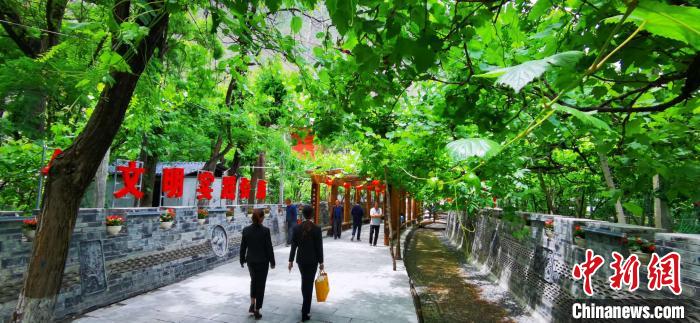 甘肅“藏鄉(xiāng)江南第一村”:葡萄村落打造“醉”美農家