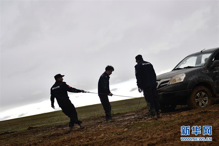 （圖文互動(dòng)）（10）記者手記：可可西里，“挪”向“藏羚羊大產(chǎn)房”的14個(gè)半小時(shí)