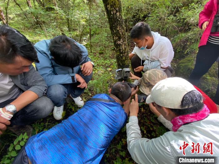 圖為訪客正在查看紅外相機(jī)中的拍攝畫面?！±罱瓕?攝