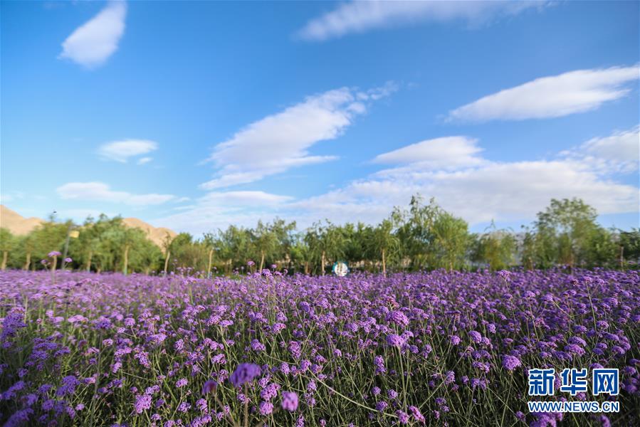 （新華全媒頭條·圖文互動）（7）大山的回響——三個(gè)民族自治縣的70年巨變