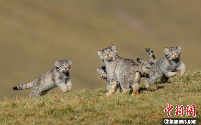 圖為李善元獲獎作品《當媽媽說跑步前進》。　李善元 攝