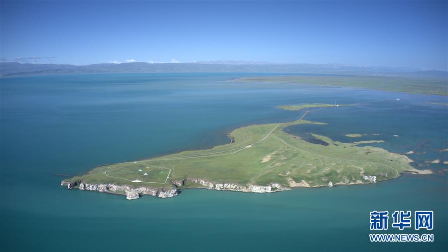 (新華全媒頭條·圖文互動(dòng))(6)大湖見證 ——持續(xù)保護(hù)讓青海湖生態(tài)華麗“蝶變”