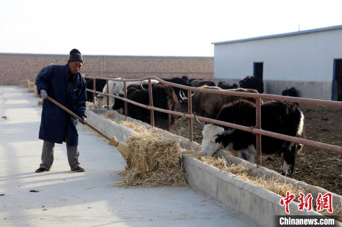 柴達木盆地蓮湖村：讓致富村民生活“?！逼饋?/></a></div>
                        <div   id=
