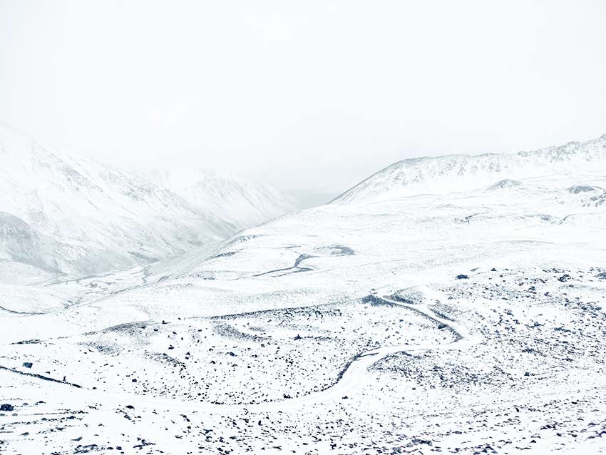 資料圖。云南白馬雪山國家級自然保護(hù)區(qū)供圖