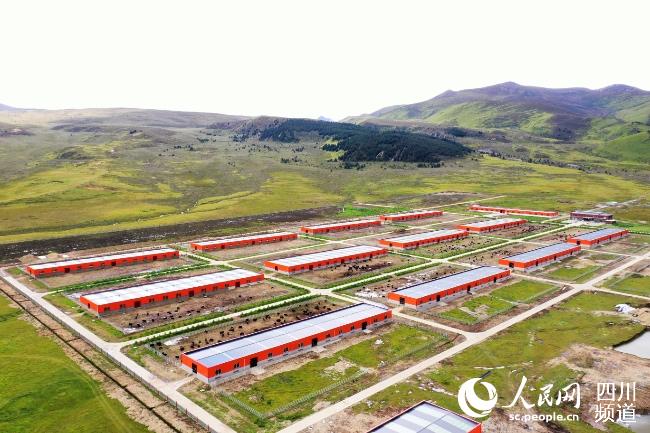建設(shè)中的理塘縣牦牛產(chǎn)業(yè)園。葉強平攝