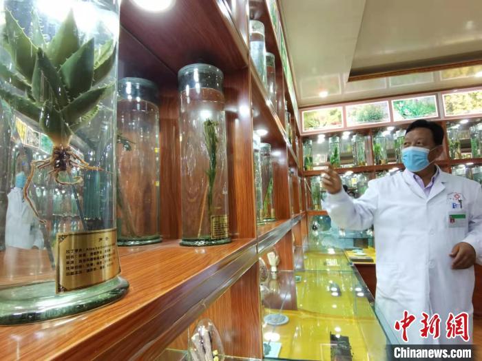 甘肅省甘南藏族自治州碌曲縣藏醫(yī)院副院長看照加近30年的從醫(yī)工作，堅持中藏醫(yī)特色優(yōu)勢相結(jié)合診療方法?！堟?攝