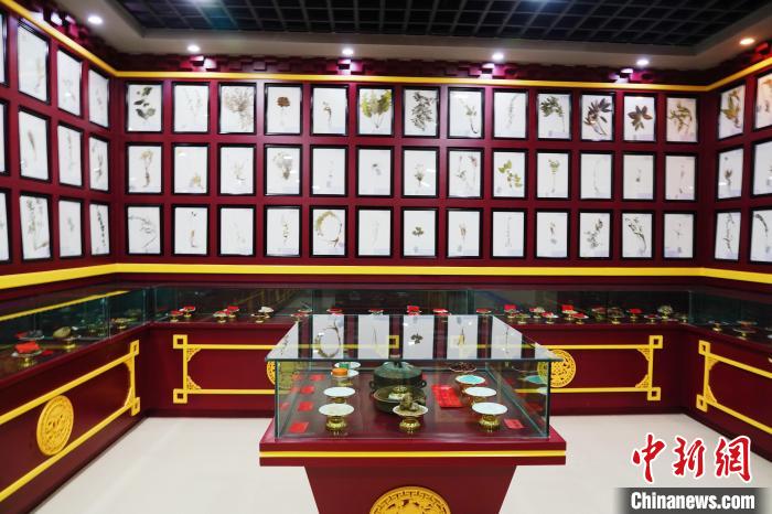 圖為藏藥臘葉標本?！●R銘言 攝