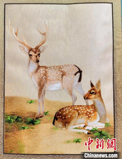 圖為藏繡作品?！∑钤鲚?攝
