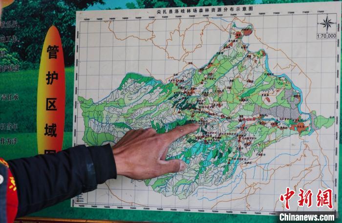 圖為桑杰加介紹管護(hù)區(qū)域分布。　馬銘言 攝