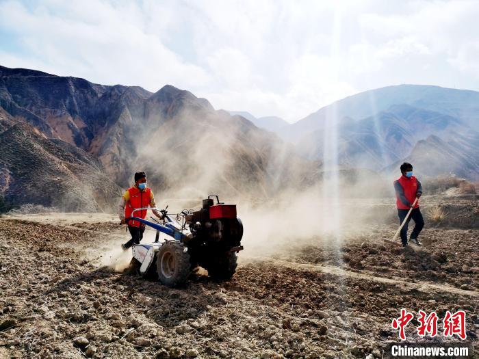 圖為拖拉機(jī)在山地犁地?！?zhí)砀?攝