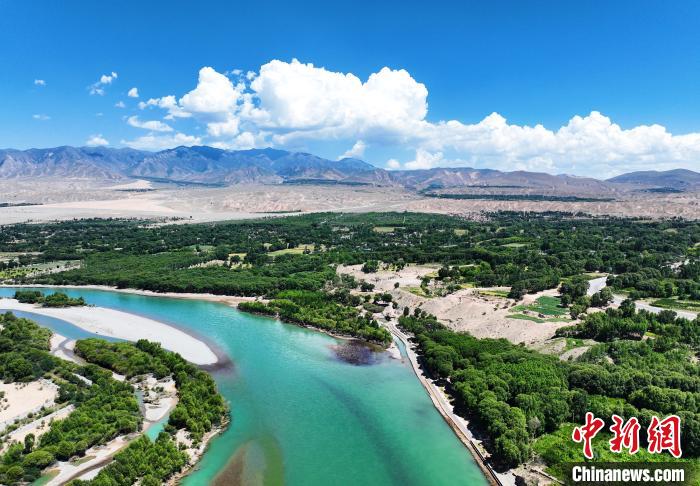 航拍貴德縣黃河岸畔綠意盎然?！●R銘言 攝