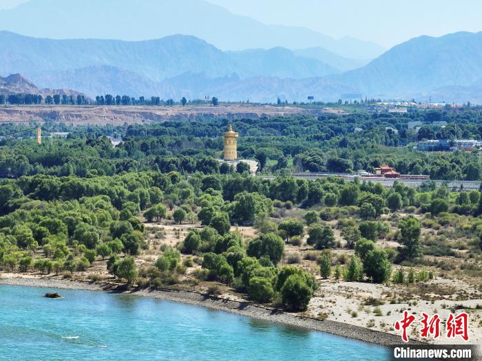 航拍貴德縣黃河岸畔綠意盎然。　馬銘言 攝