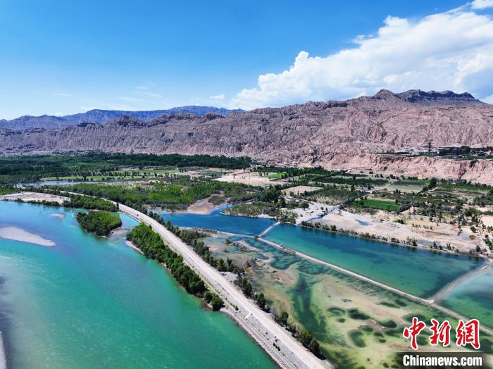 航拍貴德縣黃河岸畔綠意盎然。　馬銘言 攝
