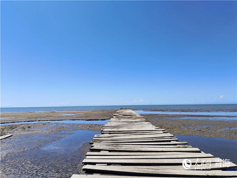   青海湖仙女灣。人民網(wǎng) 張莉萍攝