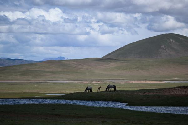 唐古拉山腳下，聽牧民講述長江源生活變遷
