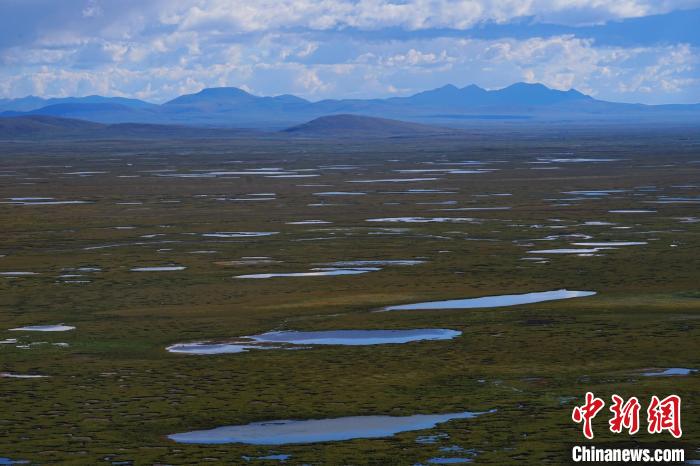 圖為查旦濕地?！●R銘言 攝