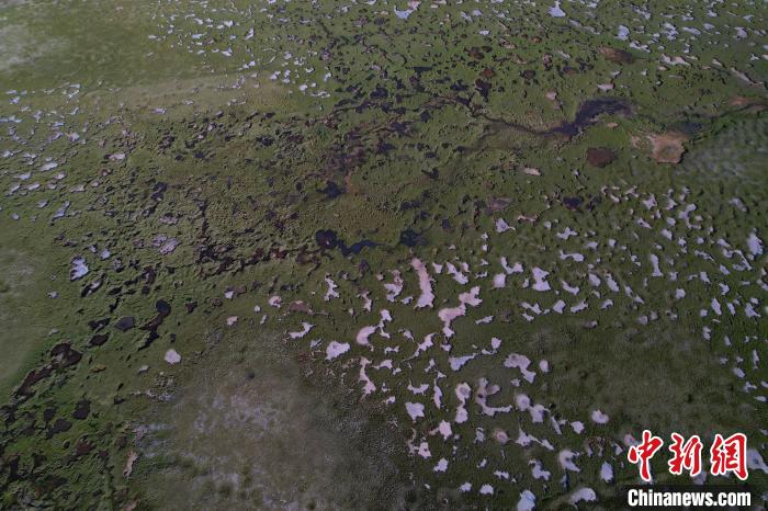 航拍查旦濕地?！●R銘言 攝