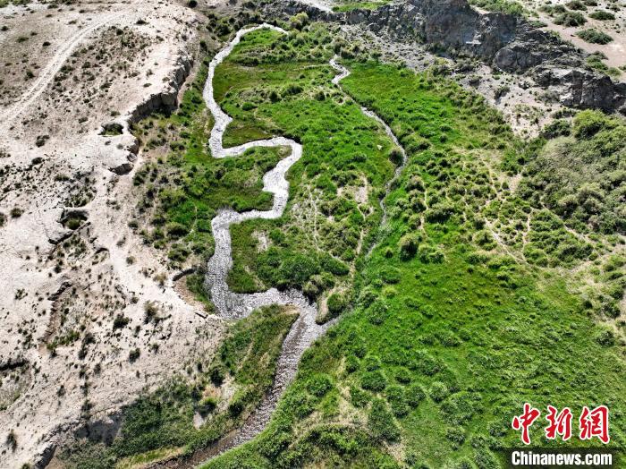 圖為航拍都蘭湖國(guó)家濕地公園綠意盎然?！∑钤鲚?攝