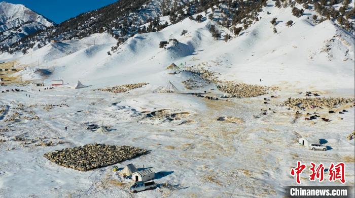 圖為無人機(jī)航拍牧場。　都蘭縣融媒體中心供圖