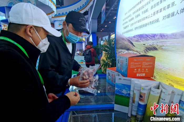 圖為青海參展商整理牛羊肉?！±铍h 攝