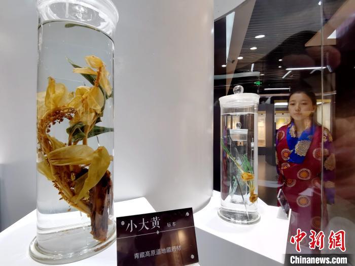 青海中藏醫(yī)藥發(fā)展提速：建設(shè)一批重點?？茖W科，推廣一批適宜技術(shù)