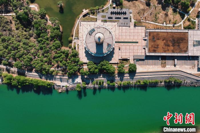 航拍青海貴德黃河岸畔綠意濃濃?！≮w凜松 攝