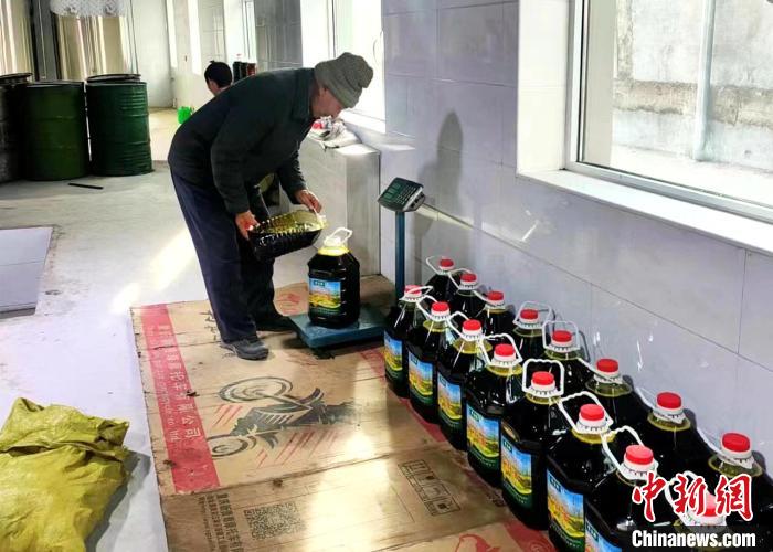 圖為高原油菜籽榨出的菜籽油?！埖么?攝