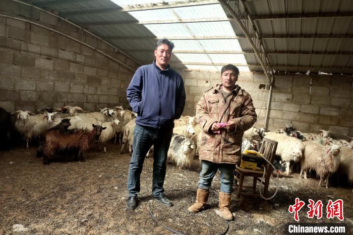 圖為華公太(左)走訪牧民生產(chǎn)生活情況?！〔彭?xiàng)什姐 攝