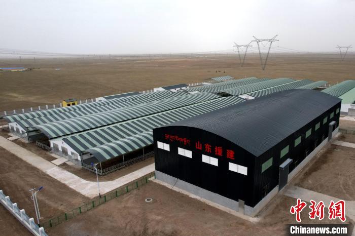 圖為航拍生態(tài)畜牧業(yè)集中規(guī)模化養(yǎng)殖基地?！〔讨绢?攝