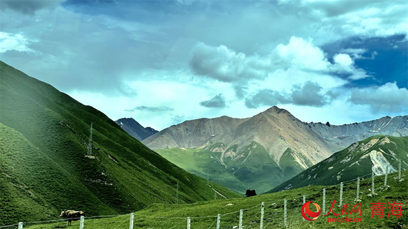 果洛風(fēng)光。人民網(wǎng) 劉沛然攝