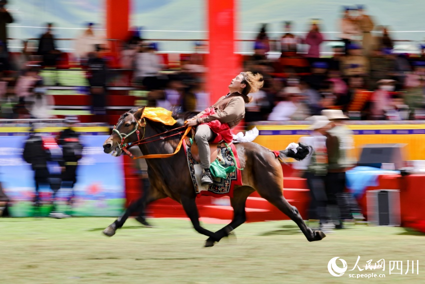馬術(shù)表演現(xiàn)場。洛絨尼瑪攝