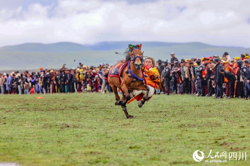 馬術(shù)表演現(xiàn)場。洛絨尼瑪攝