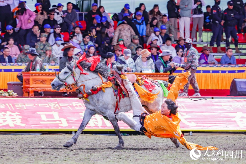 馬術(shù)表演現(xiàn)場。洛絨尼瑪攝