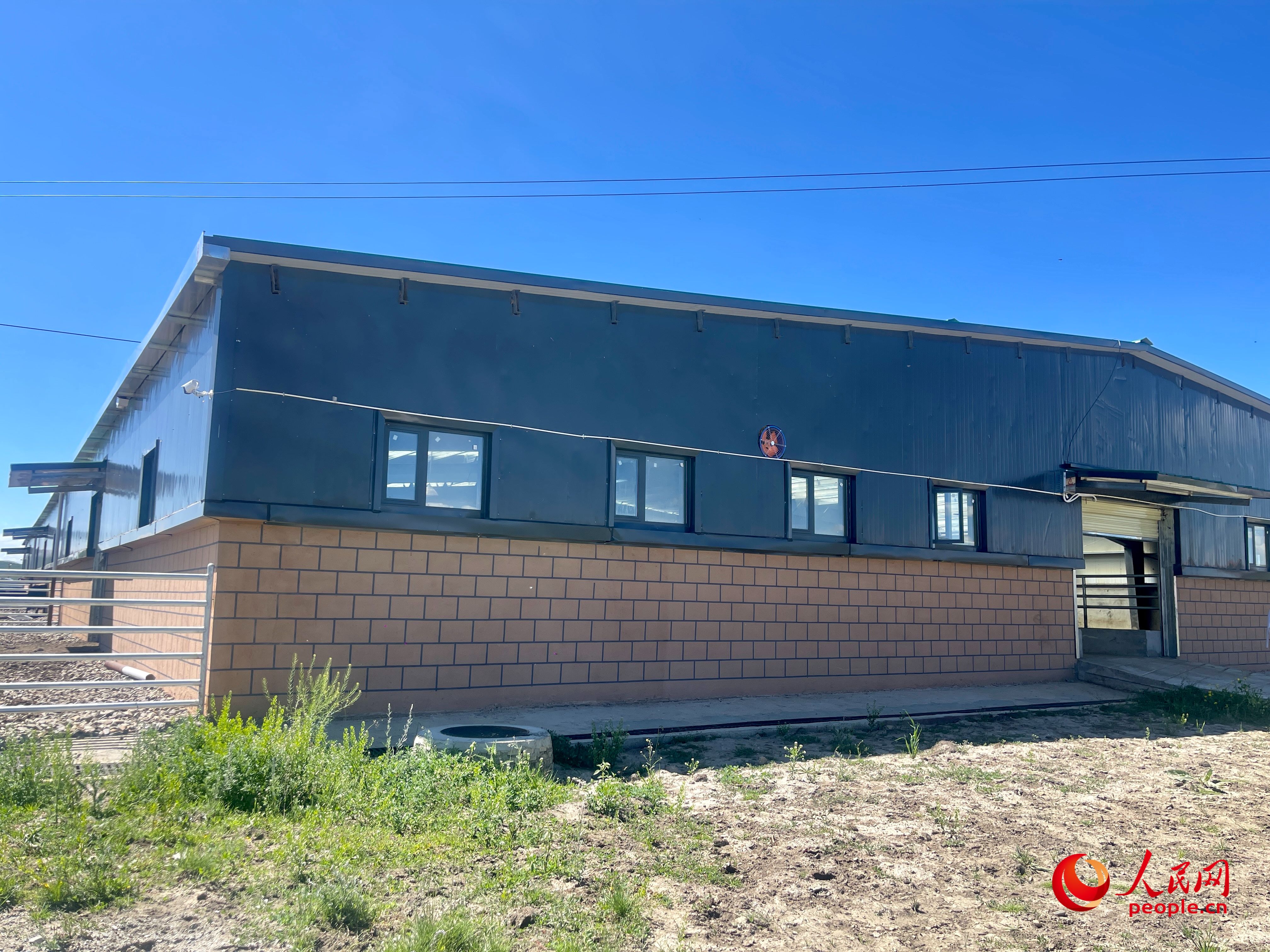 唐日合作社。人民網(wǎng) 周靜圓攝