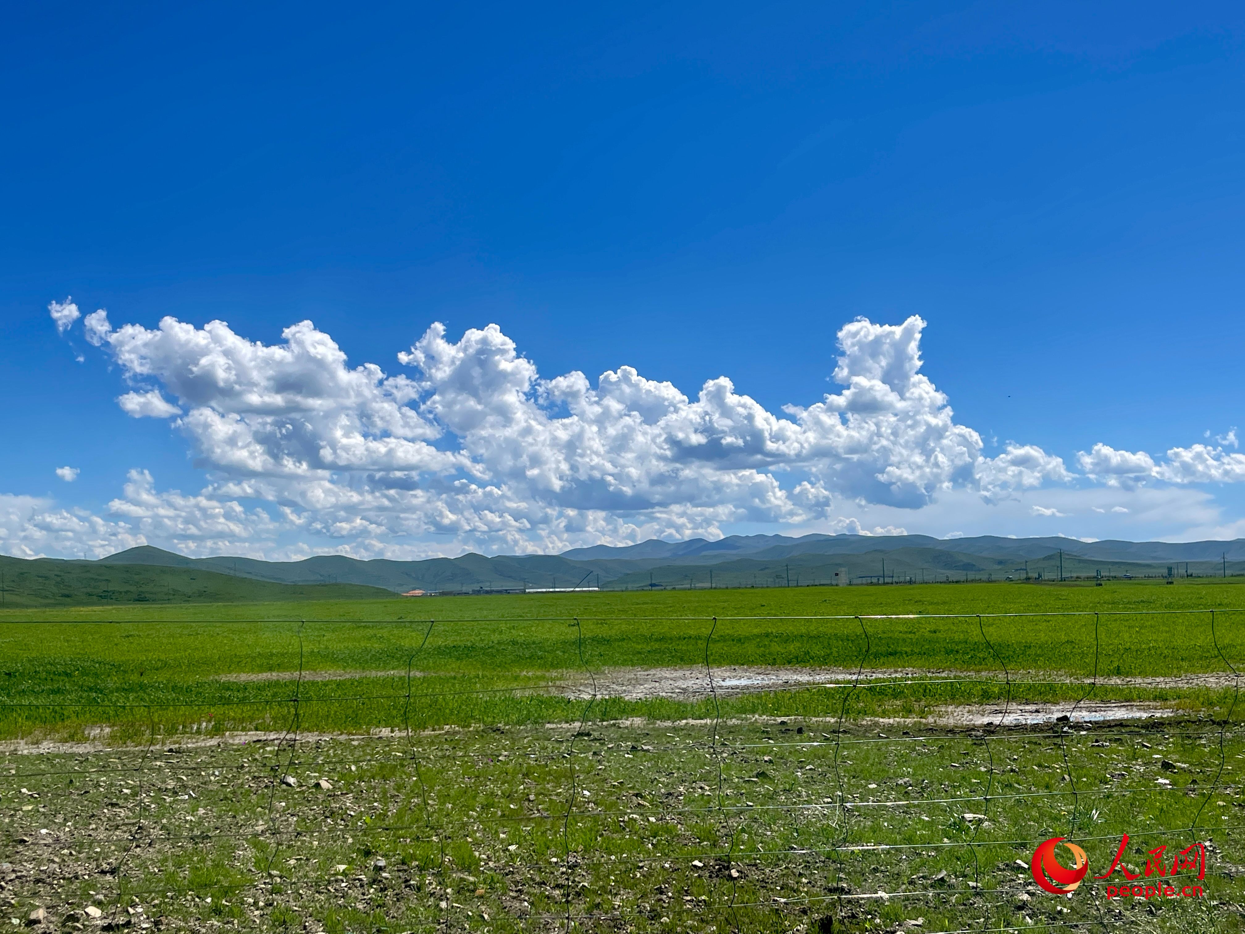 唐日合作社附近，藍(lán)天白天、綠草如茵。人民網(wǎng) 周靜圓攝
