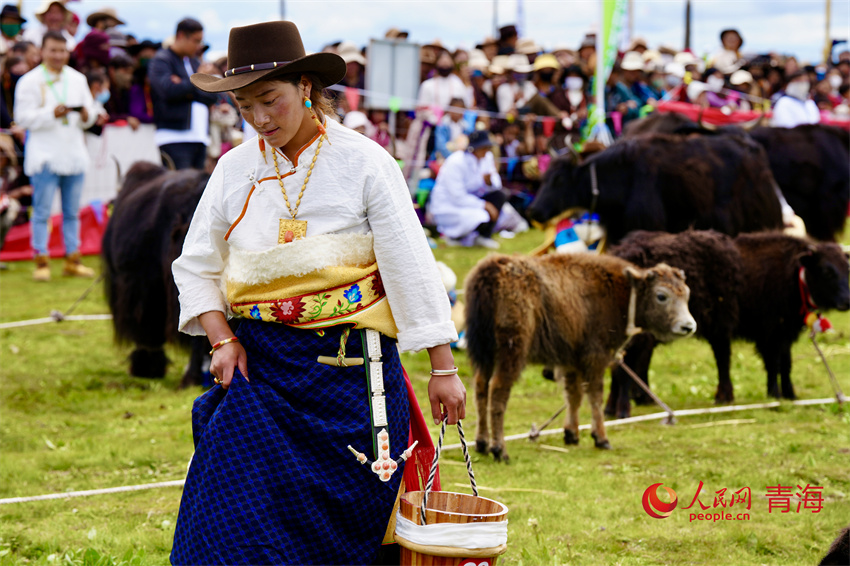 擠牦牛奶大賽。人民網(wǎng) 陳明菊攝