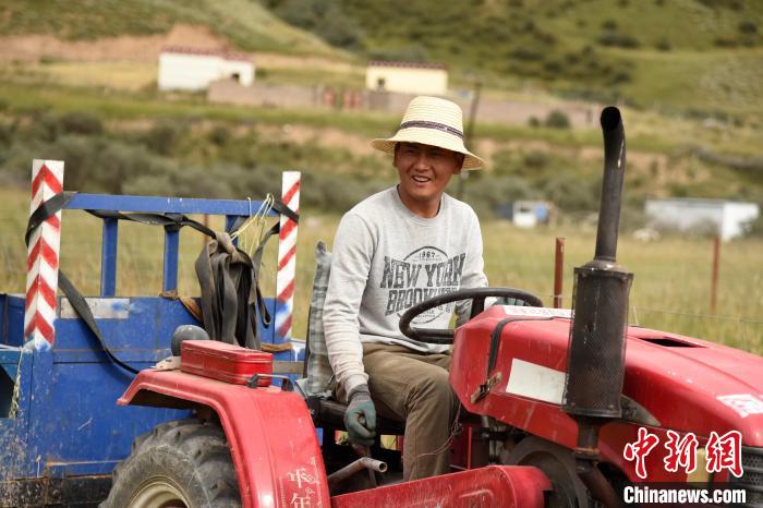 青海囊謙：喜迎秋收，又是一年“豐”景