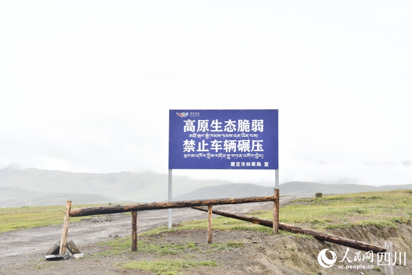 禁止車(chē)輛碾壓草原的提示牌。人民網(wǎng)記者 王洪江攝