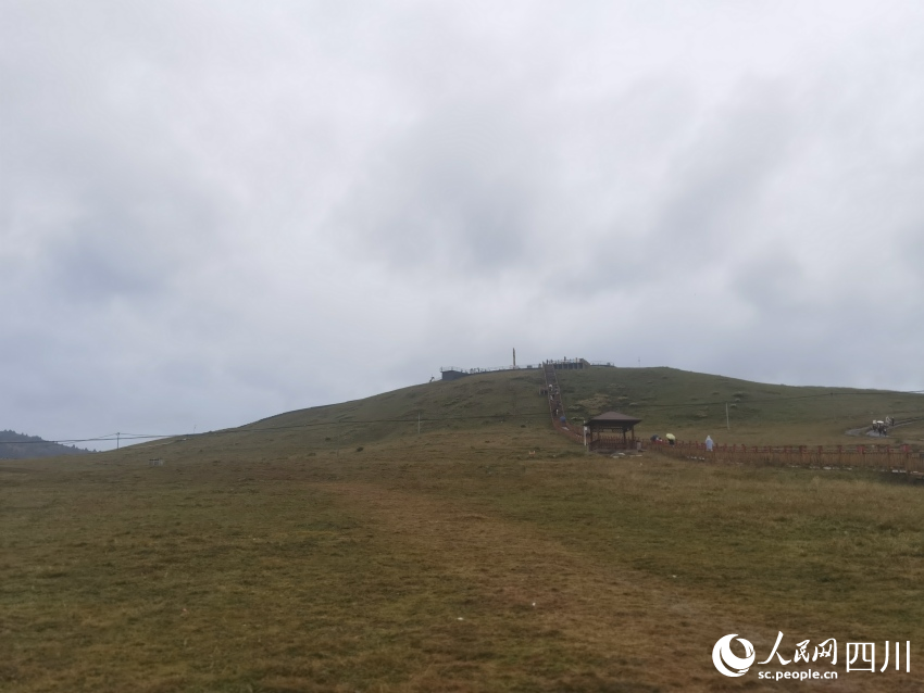 甘孜州塔公草原。人民網(wǎng)記者 王洪江攝