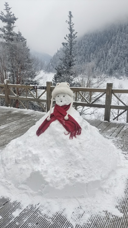 游客堆的雪人。九管局供圖