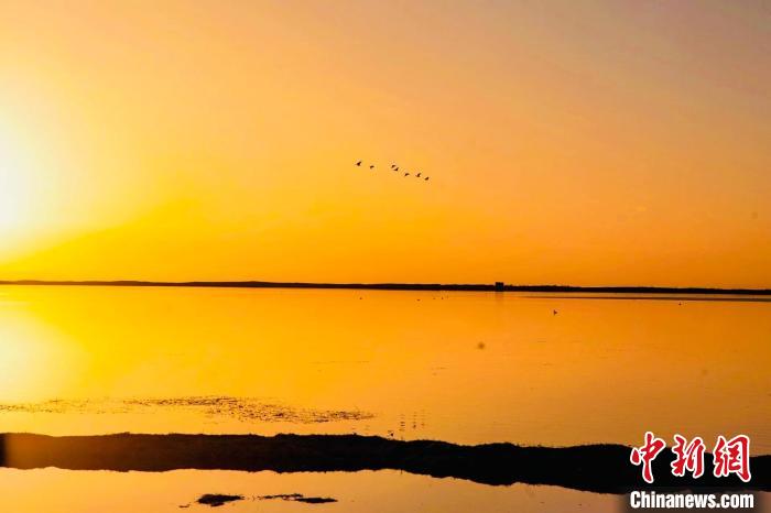 高原“藍(lán)寶石”:晚春?jiǎn)拘训淖砣水?huà)卷