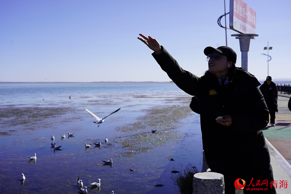 游客投喂水鳥。人民網(wǎng) 陳明菊攝